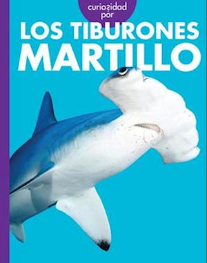 Cover for Monika Davies · Curiosidad Por Los Tiburones Martillo (Book) (2025)