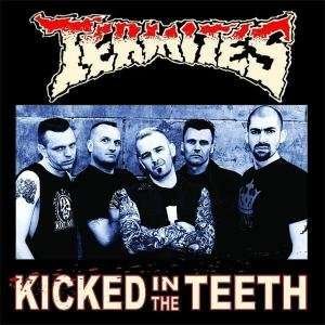 Cover for Termites · Kicked in the Teeth (LP) (2017)