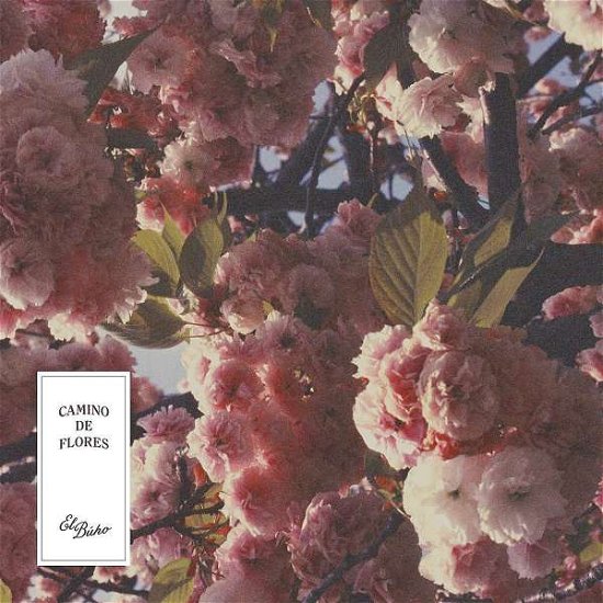 Cover for El Buho · Camino De Flores (CD) [Japan Import edition] (2019)