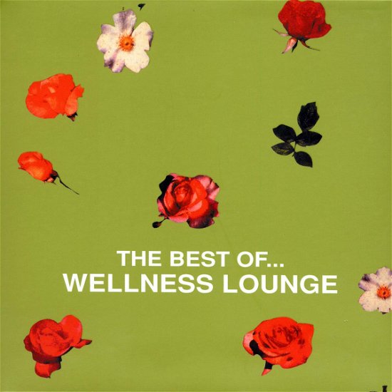 Best of Wellness Lounge - V/A - Musik - Hi Note - 4712765163451 - 