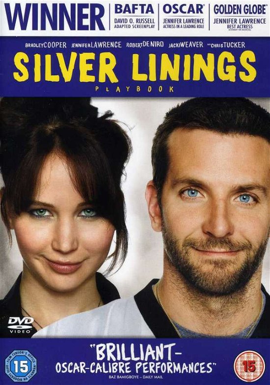 Cover for Silver Linings · Silver Linings - Playbook (DVD) (2013)