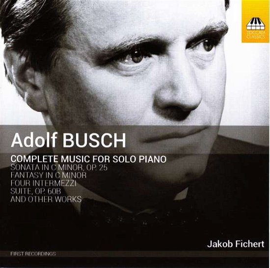 Cover for Busch / Fichert · Complete Music for Solo Piano (CD) (2017)