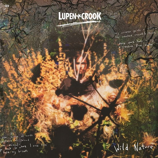 Wild Nature - Lupen Crook - Musik - SPINOUT NUGGETS - 7427255099451 - 30. juni 2023