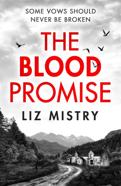 Cover for Liz Mistry · The Blood Promise - The Solanki and McQueen Crime Series (Taschenbuch) (2024)