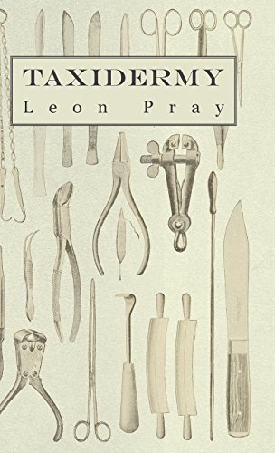 Cover for Leon Pray · Taxidermy (Hardcover Book) (2010)
