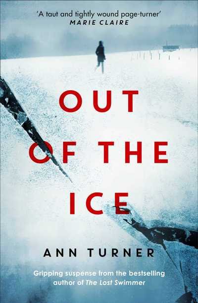 Cover for Turner · Out of the Ice (Taschenbuch) (2017)