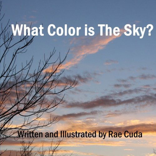 Cover for Rae Cuda · What Color is the Sky? (Literacy Links to Phonology) (Volume 5) (Paperback Bog) [First Edutuib edition] (2014)