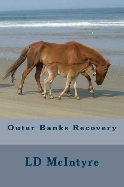 Cover for Ld Mcintyre · Outer Banks Recovery (Taschenbuch) (2014)