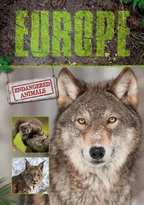 Europe - Endangered Animals - Grace Jones - Kirjat - BookLife Publishing - 9781786372451 - torstai 30. marraskuuta 2017