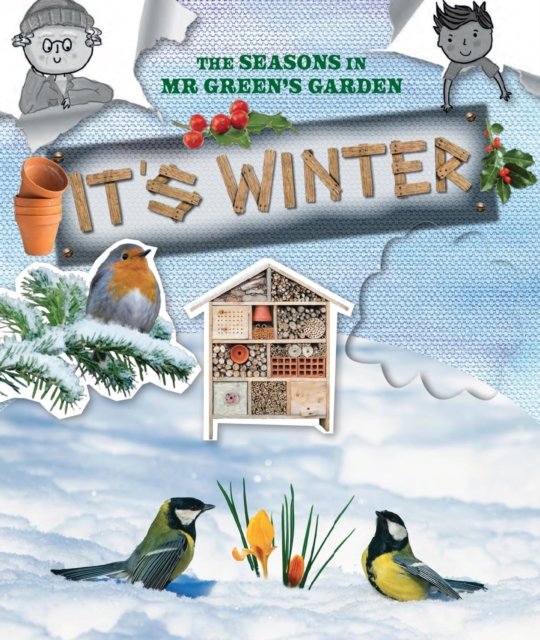 Cover for Ruth Owen · The Seasons in Mr Green's Garden: It's Winter (Pocketbok) (2023)