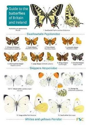 Cover for John Bebbington · Guide to the butterflies of Britain and Ireland (Paperback Book) (2019)