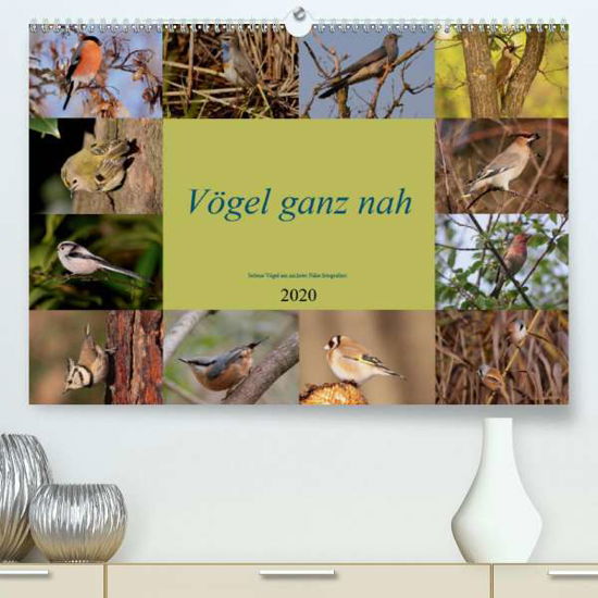 Cover for Erlwein · Vögel ganz nah (Premium-Kalende (Book)