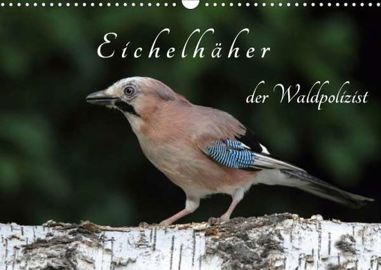 Cover for Konieczka · Eichelhäher der Waldpolizist (Book)