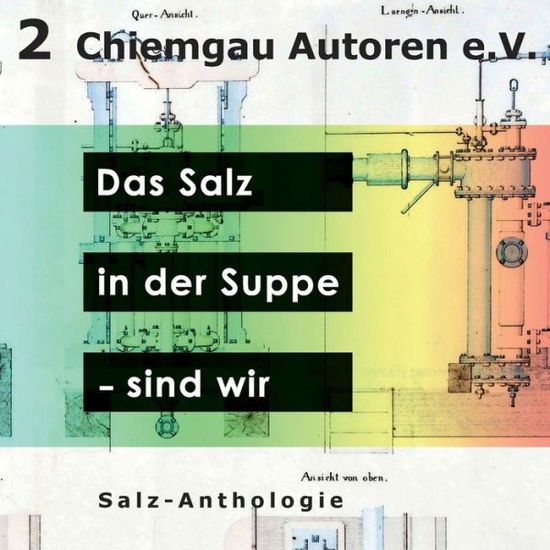 Cover for Das Salz in der Suppe - sind wir: Anthologie des Vereins Chiemgau-Autoren e.V. (Paperback Book) (2020)