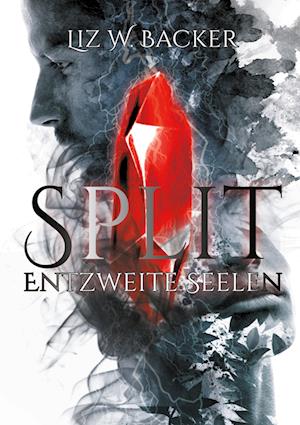 Cover for Liz W. Backer · Split (Hardcover Book) (2021)