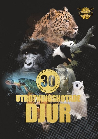 Cover for Illugi Jökulsson · Spännande fakta: 30 utrotningshotade djur (Innbunden bok) (2015)