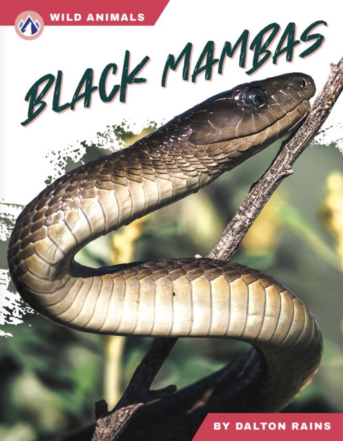 Cover for Dalton Rains · Black Mambas - Wild Animals Set 2 (Hardcover Book) (2025)