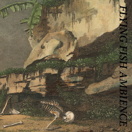 Cover for Rainforest Spiritual Enslavement · Flying Fish Ambience (CD) (2022)