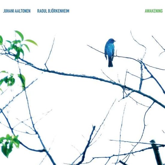 Cover for Juhani Aaltonen &amp; Raoul Bjorkenheim · Awakening (CD) (2020)