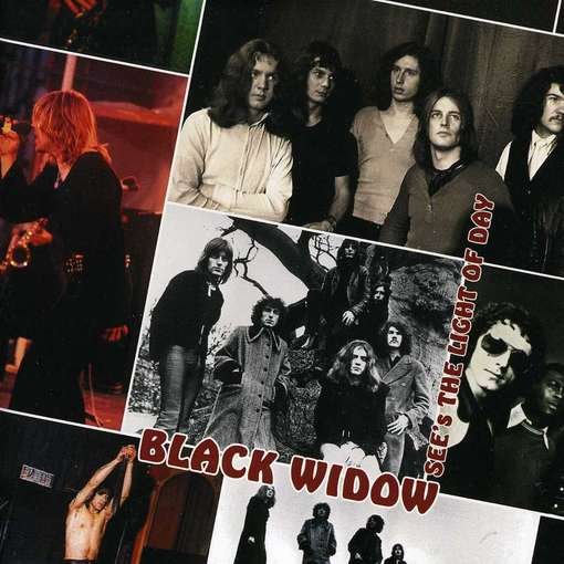 Cover for Black Widow · See the Light of the Day (CD) (2012)