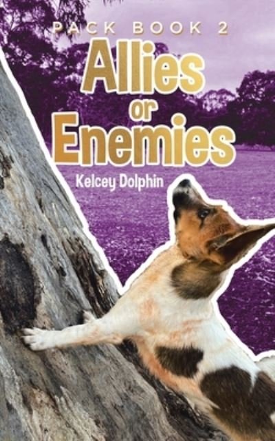 Cover for Kelcey Dolphin · Allies or Enemies (Buch) (2022)