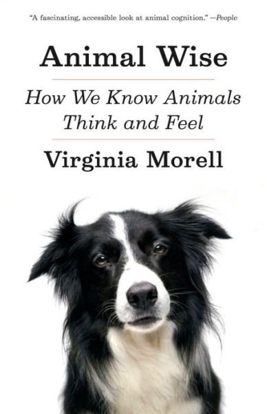 Cover for Virginia Morell · Animal Wise: How We Know Animals Think and Feel (Taschenbuch) [Reprint edition] (2014)