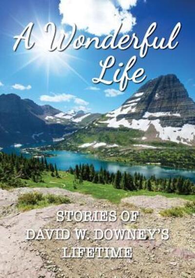 A Wonderful Life Stories of David W. Downey's Lifetime - David W Downey - Books - Scott Publishing Company - 9780999888452 - July 30, 2018