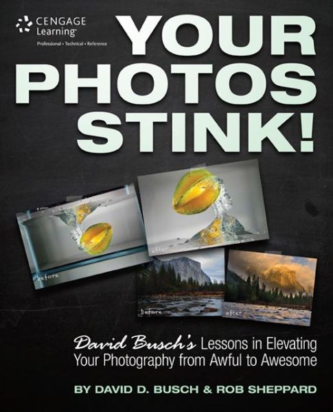 Cover for David Busch · Your Photos Stink!: David Busch's Lessons in Elevating Your Photography from Awful to Awesome (Paperback Book) [New edition] (2014)