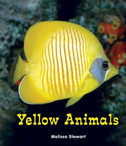 Cover for Melissa Stewart · Yellow Animals (All About a Rainbow of Animals) (Pocketbok) (2012)