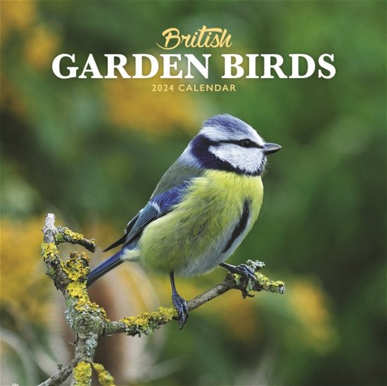 British Garden Birds Mini Calendar 2024 (Calendar) (2023)