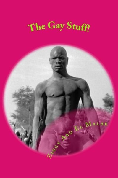 Cover for Ziggy Abd El Malak · The Gay Stuff! (Taschenbuch) (2016)