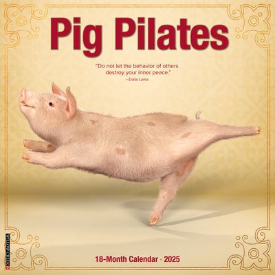 Cover for Willow Creek Press · Pig Pilates 2025 12 X 12 Wall Calendar (Calendar) (2024)