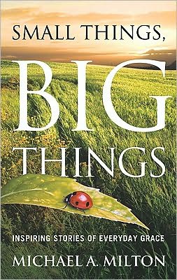 Cover for Michael A Milton · Small Things, Big Things: Inspiring Stories of Everyday Grace (Paperback Book) (2009)