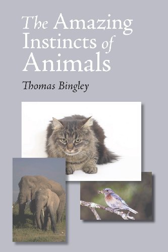 Cover for Thomas Bingley · The Amazing Instinct of Animals (Paperback Book) (2013)