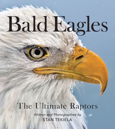 Cover for Stan Tekiela · Bald Eagles: The Ultimate Raptors - Favorite Wildlife (Paperback Bog) (2021)