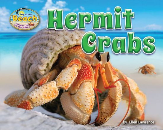 Cover for Ellen Lawrence · Hermit crabs (Book) (2017)