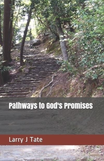 Cover for Larry J Tate · Pathways to God's Promises (Paperback Book) (2019)