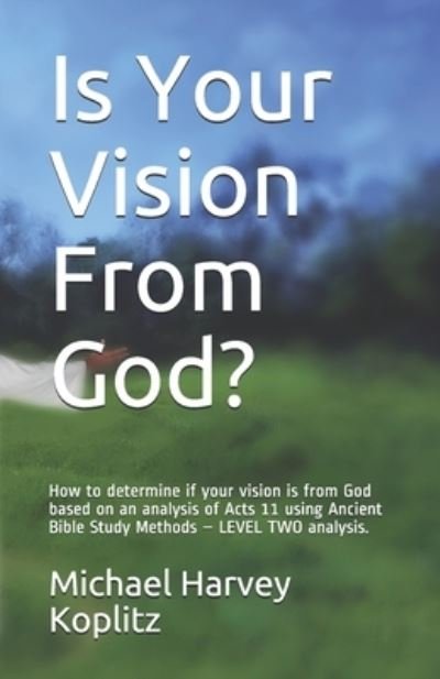 Is Your Vision From God? - Michael Harvey Koplitz - Bøger - Independently Published - 9781703402452 - 28. oktober 2019
