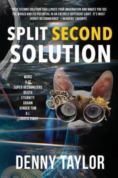 Cover for Denny Taylor · Split Second Solution (Paperback Book) (2016)