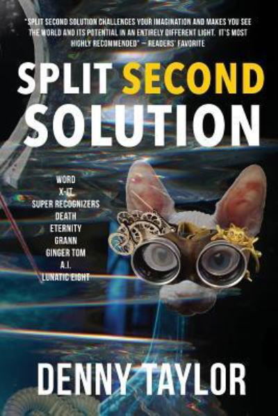 Cover for Denny Taylor · Split Second Solution (Pocketbok) (2016)