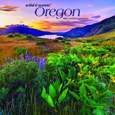 Cover for Browntrout · Oregon Wild &amp; Scenic 2023 Square (Calendar) (2022)