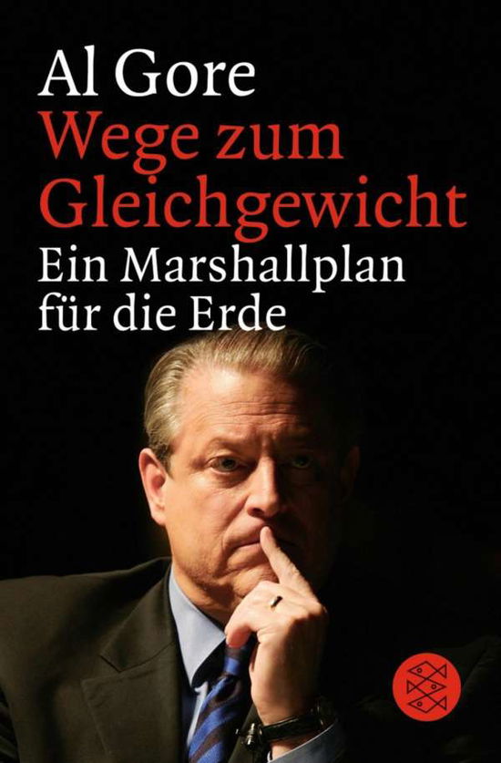 Cover for Al Gore · Fischer Tb.12345 Gore.wege Z.gleichgew. (Book)