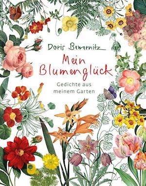 Cover for Doris Bewernitz · Mein Blumenglück (Book) (2022)