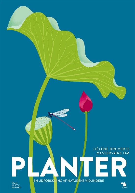 Hélène Druvert & Juliette Einhorn · Mesterværker: Planter (Hardcover Book) [1. Painos] (2024)