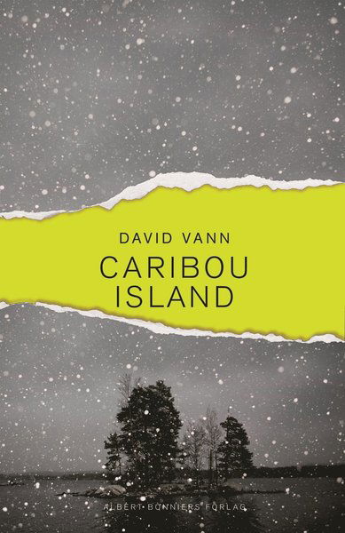 Cover for David Vann · Caribou Island (Bound Book) (2012)