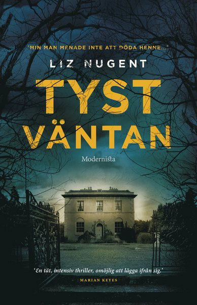 Cover for Liz Nugent · Tyst väntan (Bound Book) (2017)