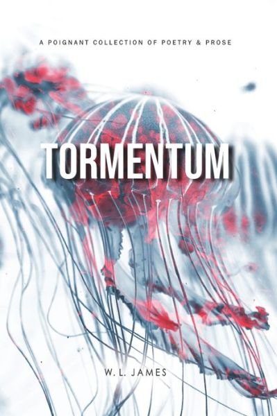 Cover for W L James · Tormentum (Paperback Book) (2020)