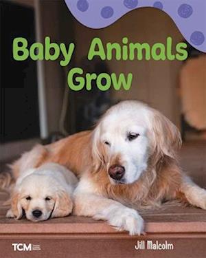 Cover for Jill Malcolm · Baby Animals Grow (Book) (2024)