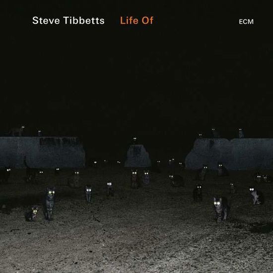 Cover for Steve Tibbetts · Life of (CD) (2018)