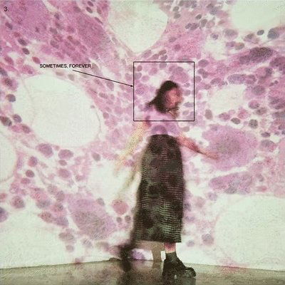 Cover for Soccer Mommy · Sometimes, Forever (LP) (2023)